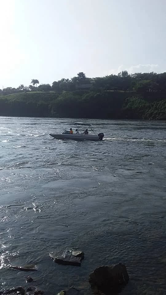 East African wildlife