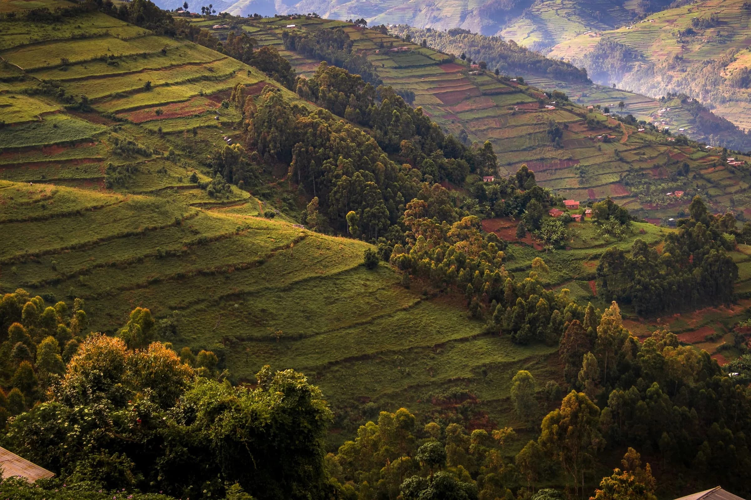 Kampala, Jinja, Mbarara