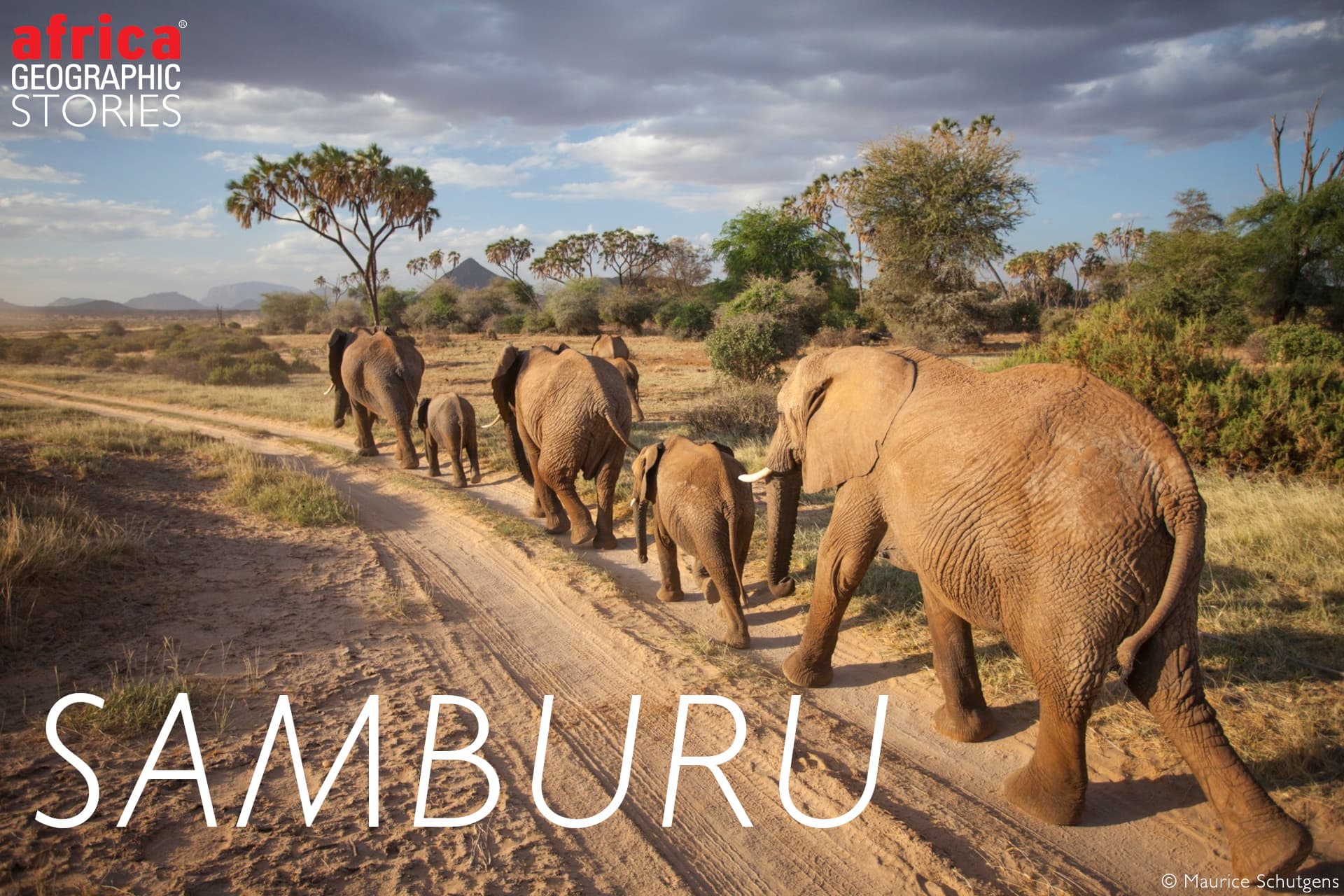 Samburu National Reserve