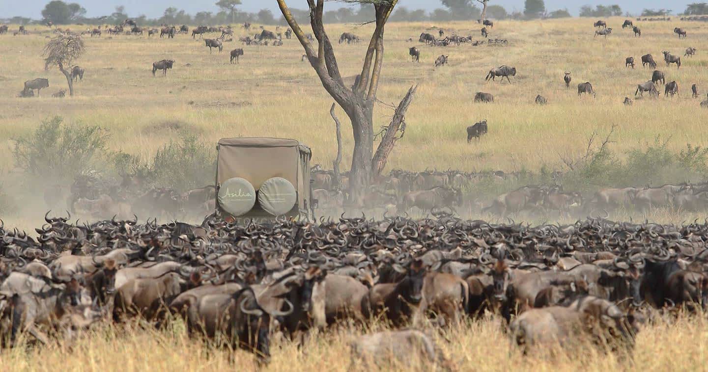 Serengeti National Park