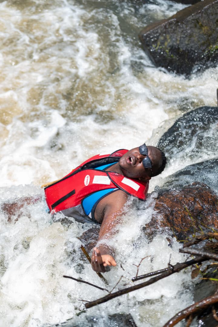 Wildlife observation