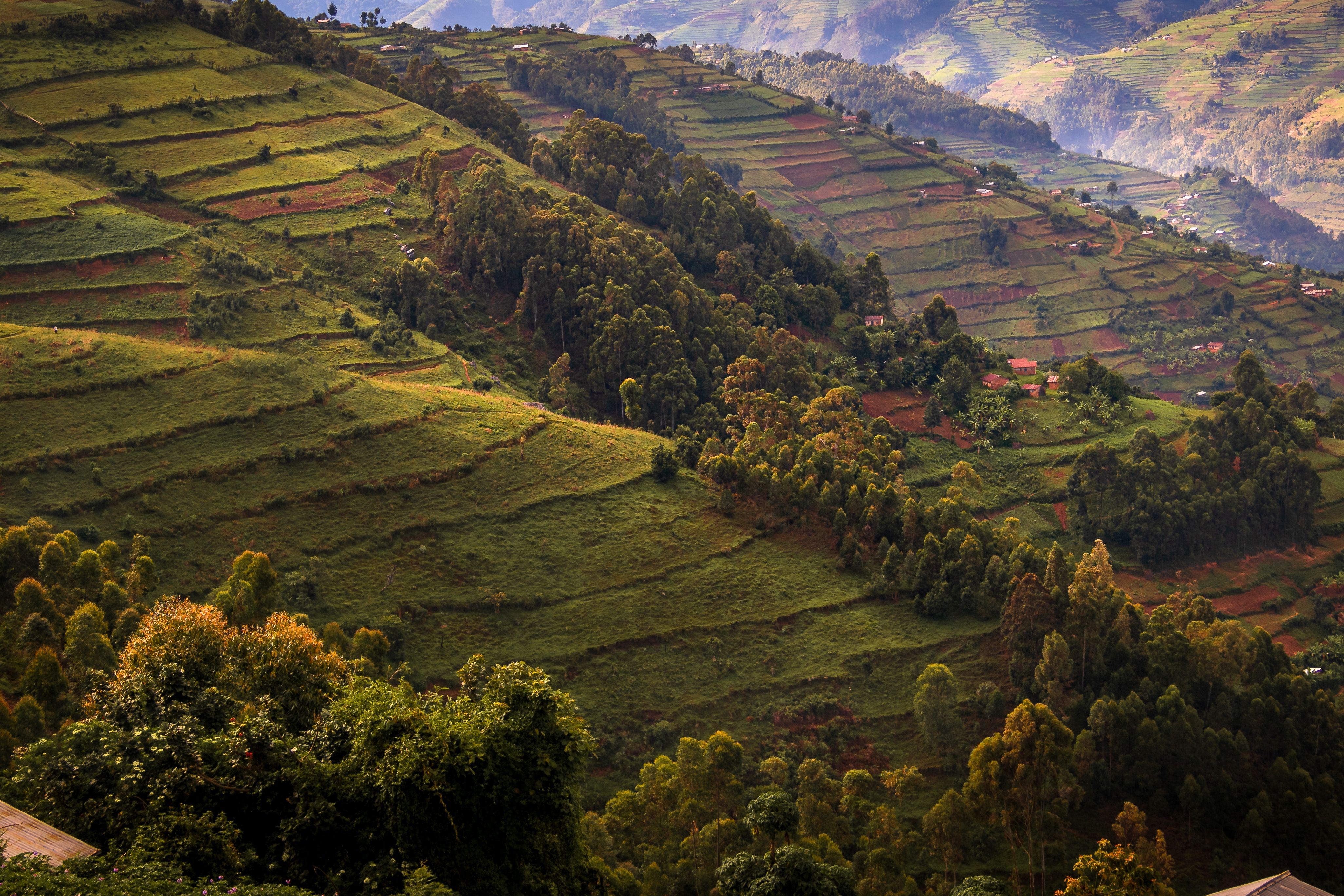 Kampala, Jinja, Mbarara